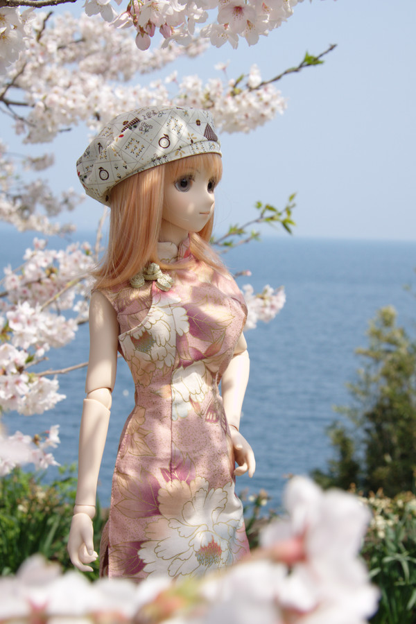 13-03_sakura_092-0p.jpg