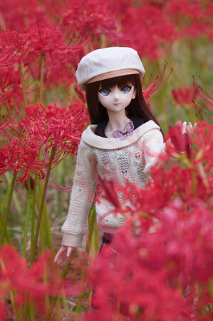 25-10_korotsuzaki_025-1s.jpg